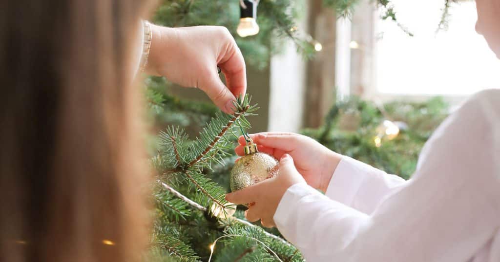 Prix d'un sapin de Noël Epicéa