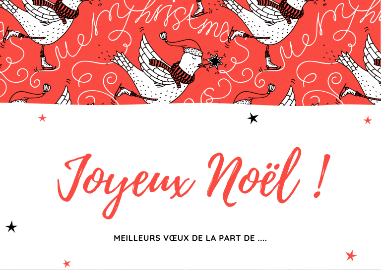 Bonhomme de neige et oiseuax sur une carte de No&euml;l.