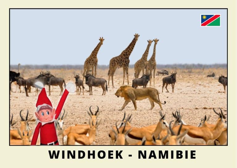 Carte postale du lutin farceur rouge en Namibie