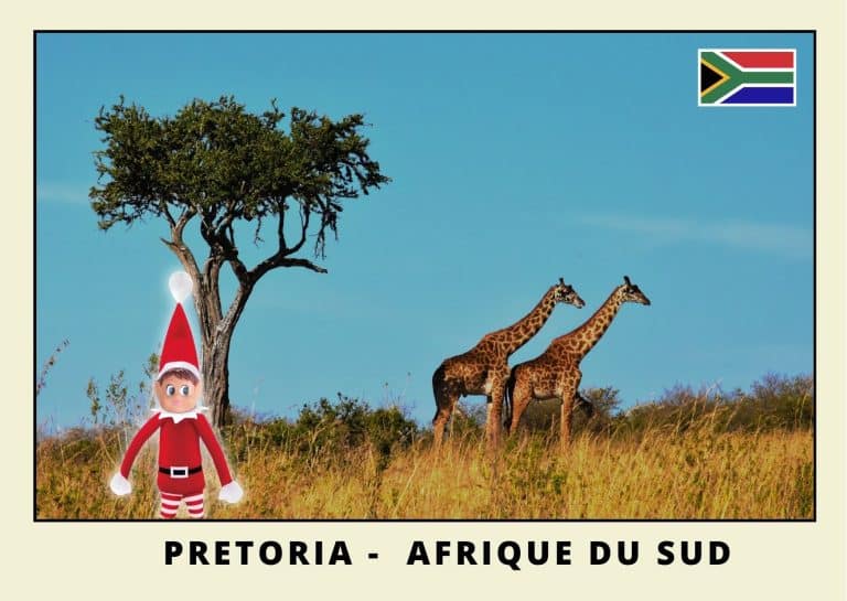 Carte postale lutine rouge en Afrique du sud