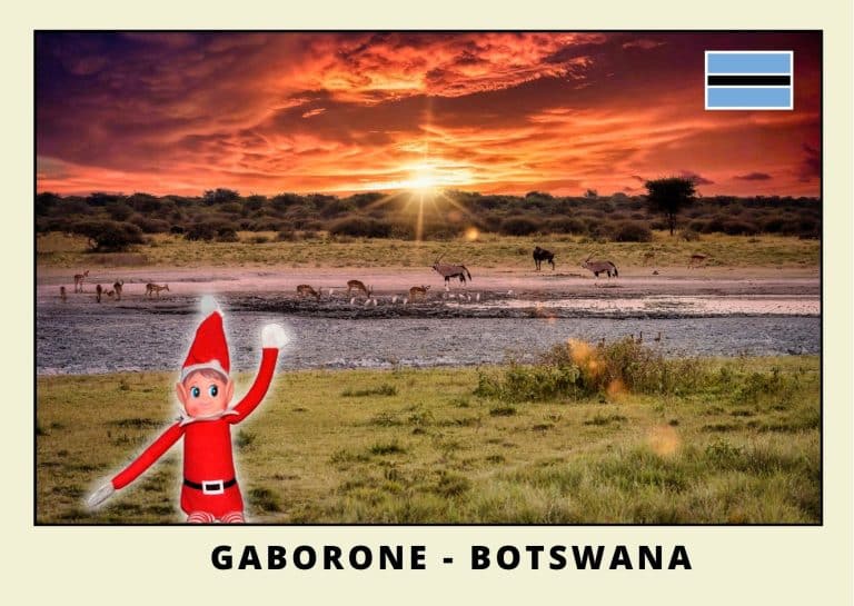 Carte postale lutine rouge au Botswana