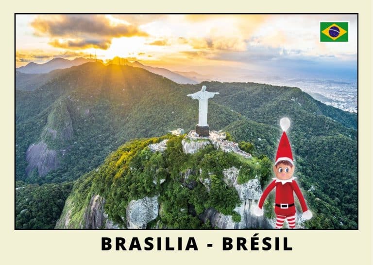 Carte postale lutine rouge au Br&eacute;sil