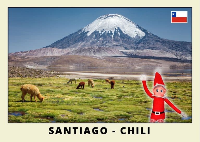 Carte postale lutine rouge au Chili