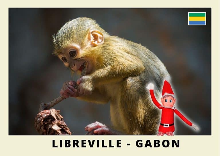 Carte postale lutine rouge au Gabon