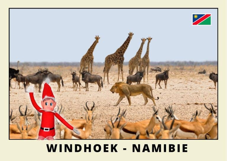 Carte postale lutine rouge en Namibie