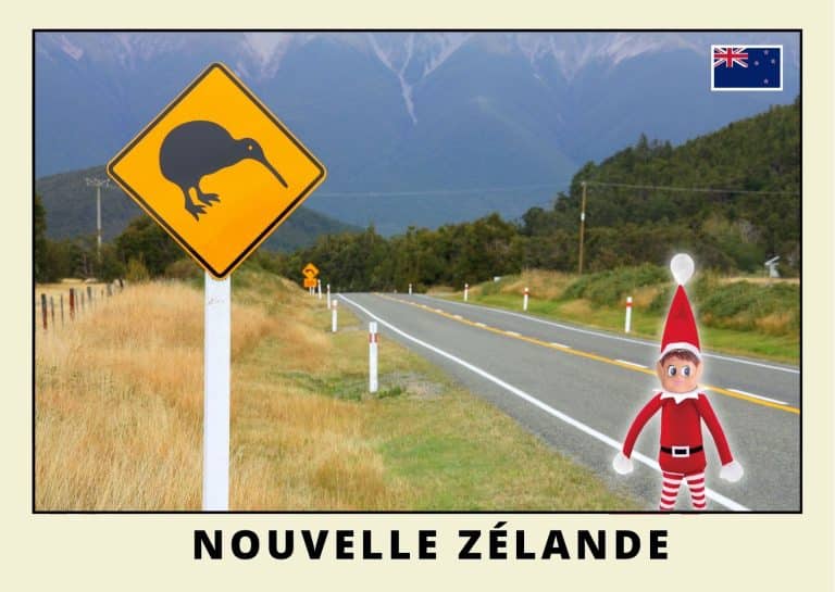 Carte postale lutine rouge en N.Z&eacute;lande