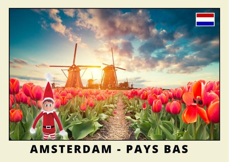 Carte postale lutine rouge aux pays bas