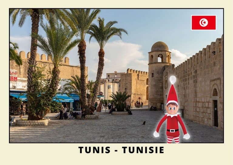 Carte postale lutine rouge en Tunisie