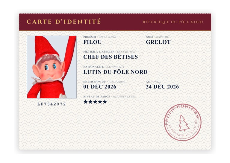exemple de carte d'identité de lutin farceur à imprimer recto