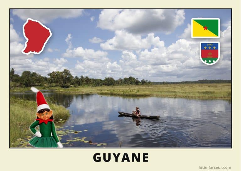 carte-postale-lutine-verte-guyane